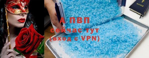 индика Покров