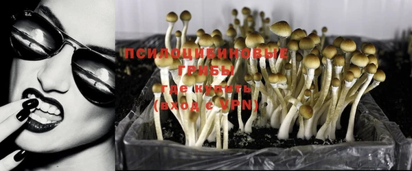 гидропоника Абинск