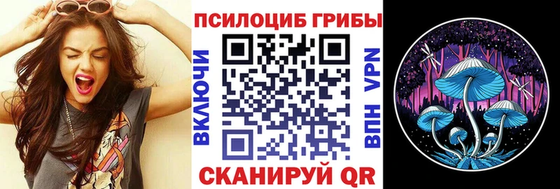 где можно купить   Ишимбай  Галлюциногенные грибы Cubensis 